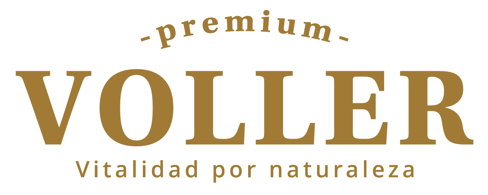 Logo Voller